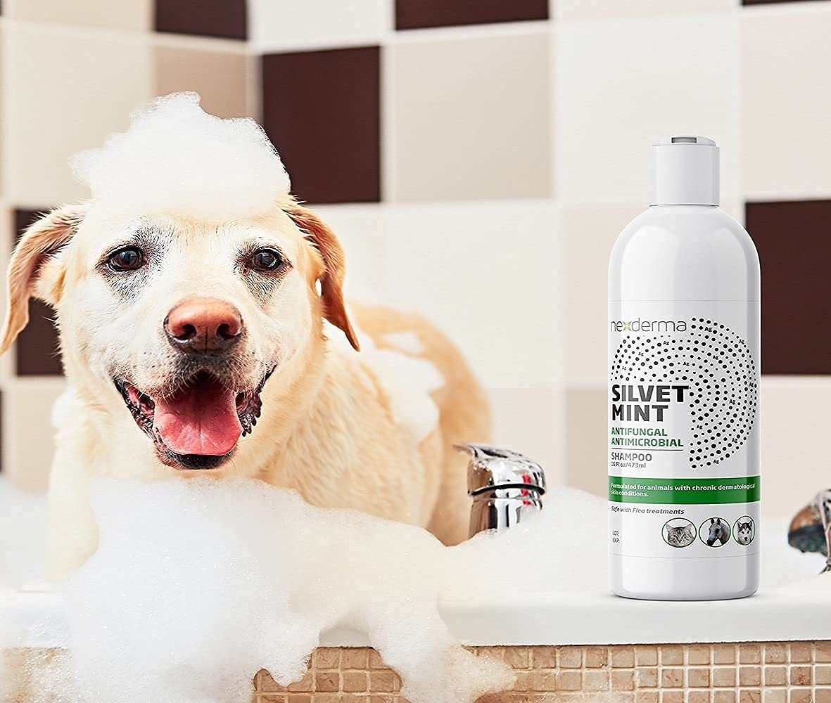 Tearless Hypoallergenic Coconut Oil Pet Shampoo 16oz K639
