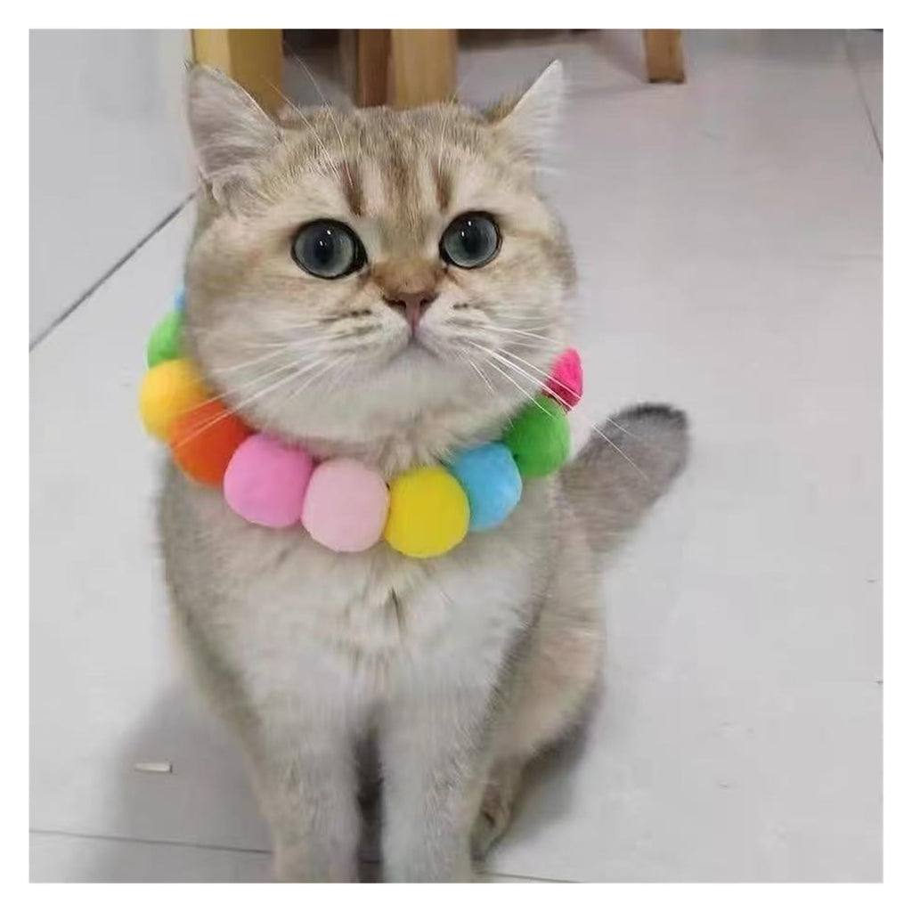 Dog Bow Tie Collar T542802