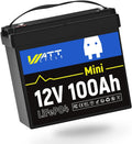 12V 100Ah Mini LiFePO4 Battery with 100A BMS B8491