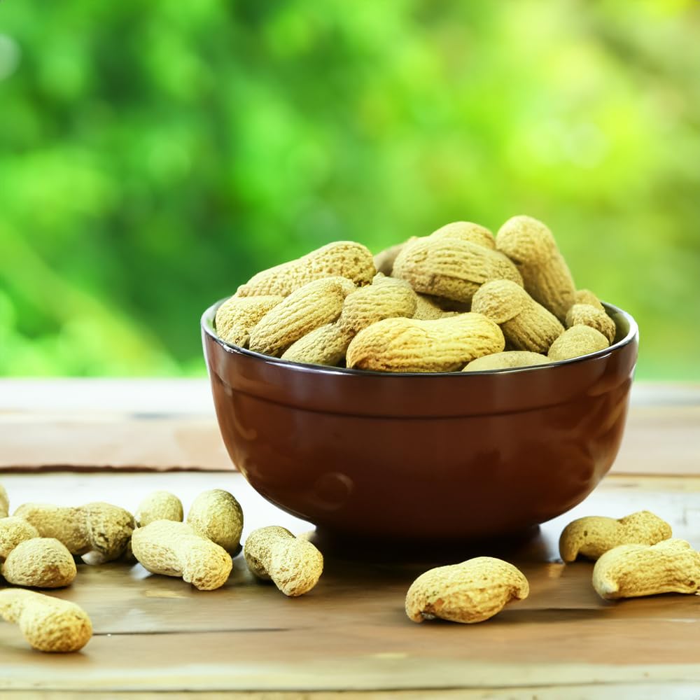 Peanuts In Shell 2 lbs L9072