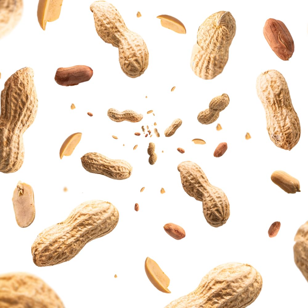 Peanuts In Shell 2 lbs L9072