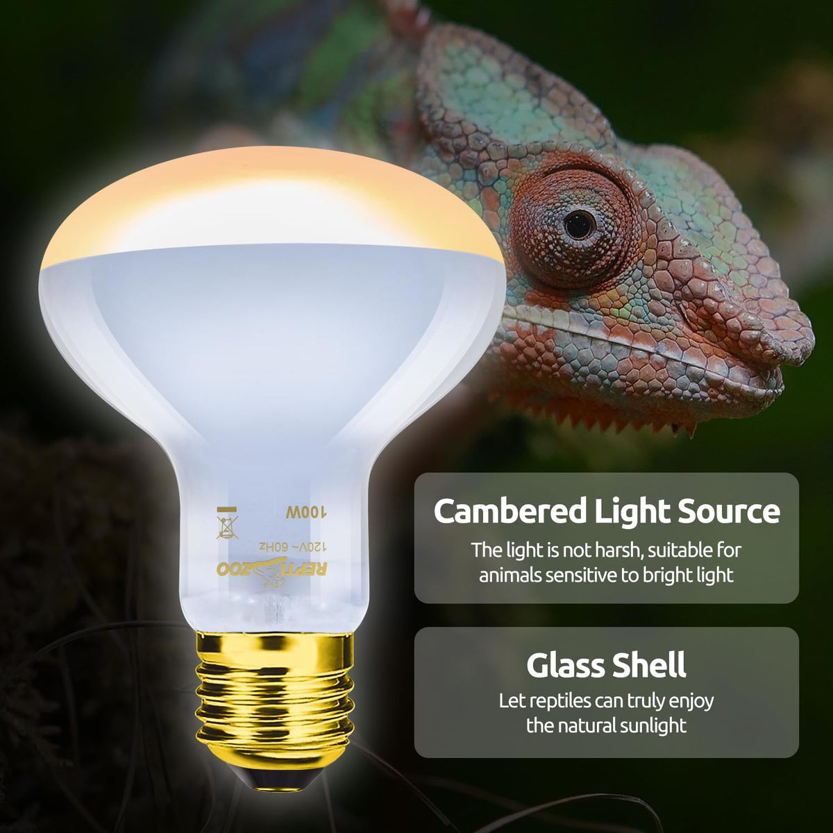Reptile Heat Lamp Combo Pack with Dual Light Fixture U872126