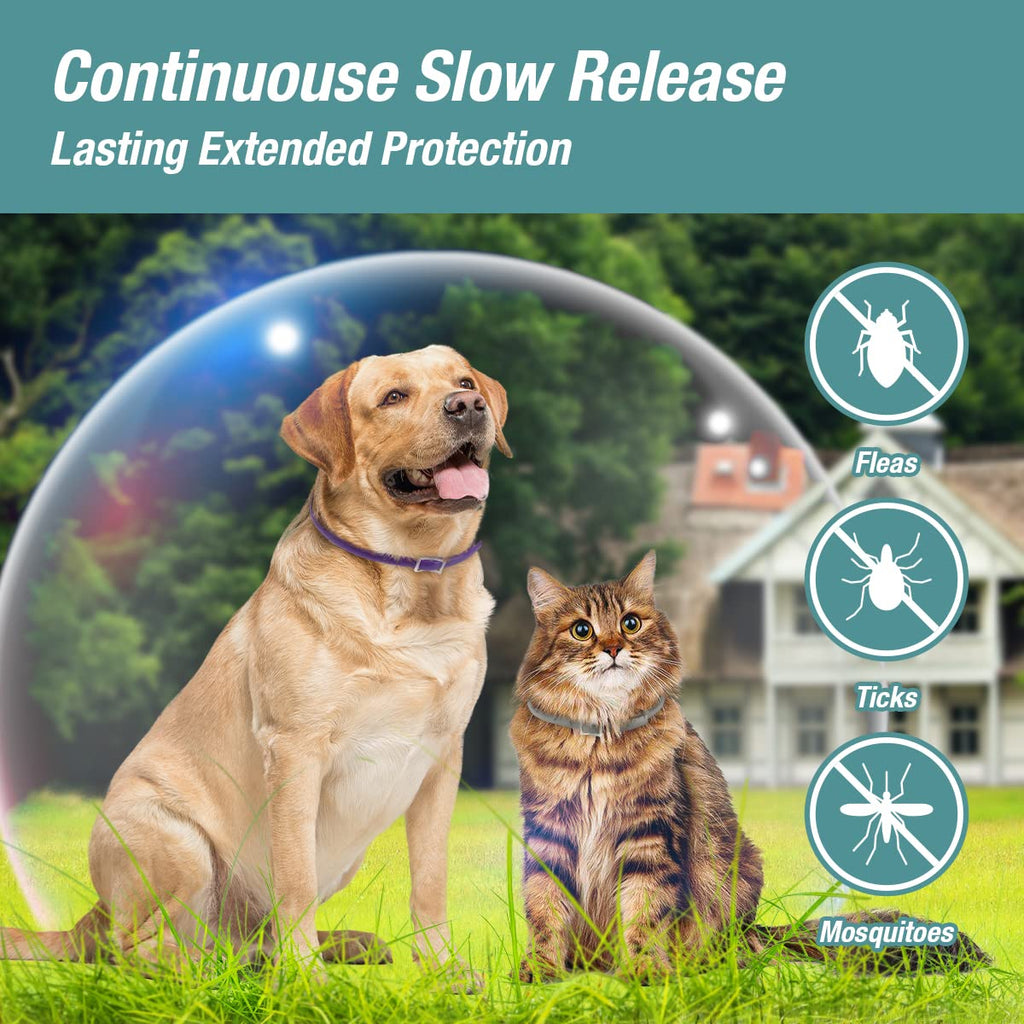 Flea & Tick Collar Plant Powered Blue 2-Pack Z8688