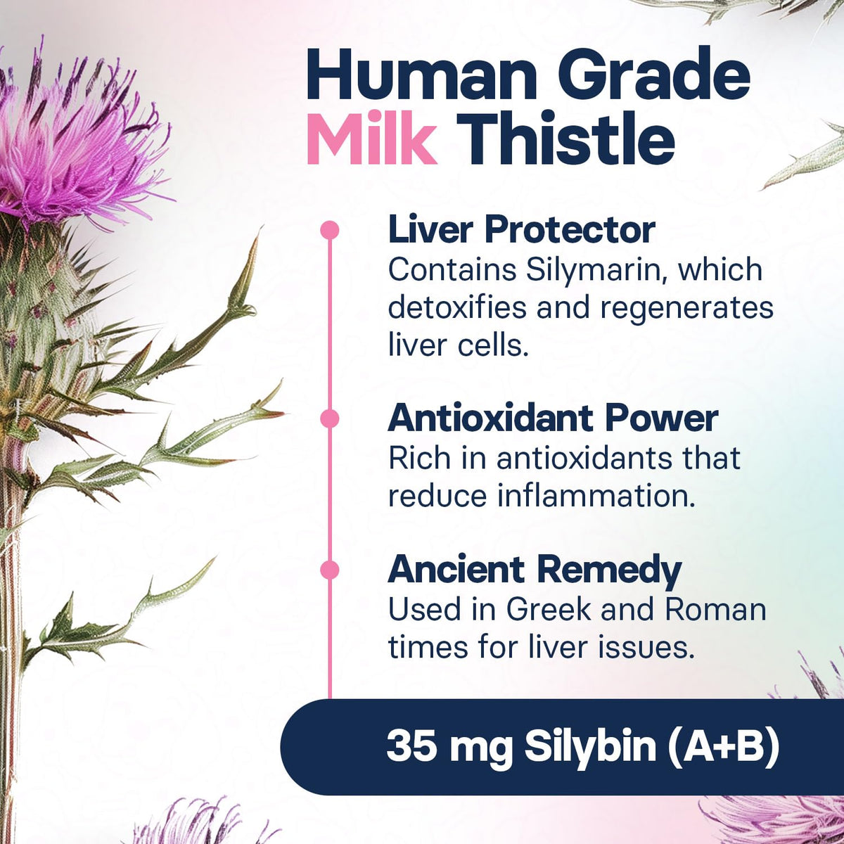 Milk Thistle Liver Health Supplement 30 Tablets W670304