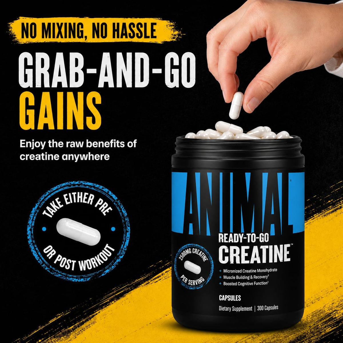 Creatine Monohydrate Powder Capsules 300 Count X28528