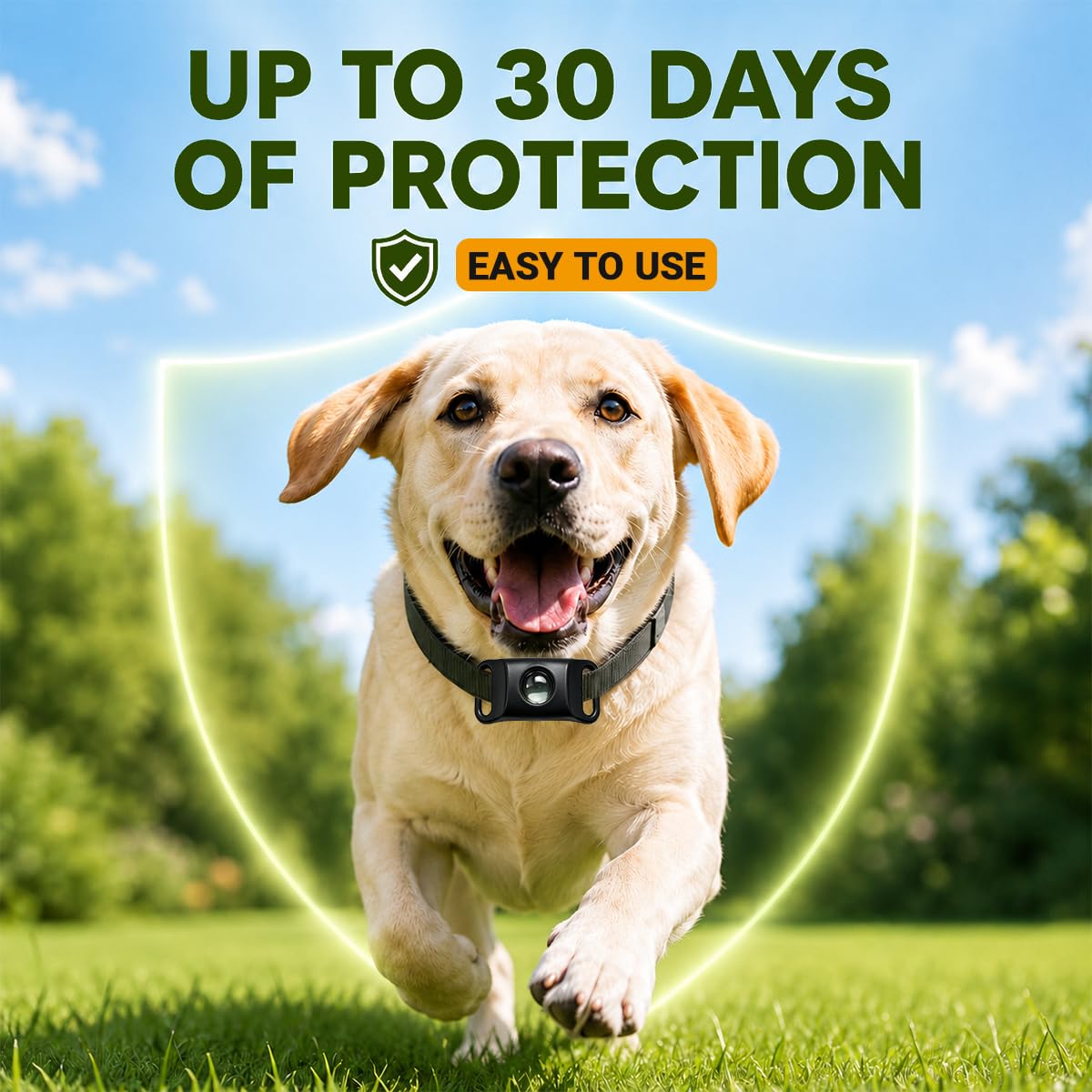Flea and Tick Prevention Pendant for Dogs S37699