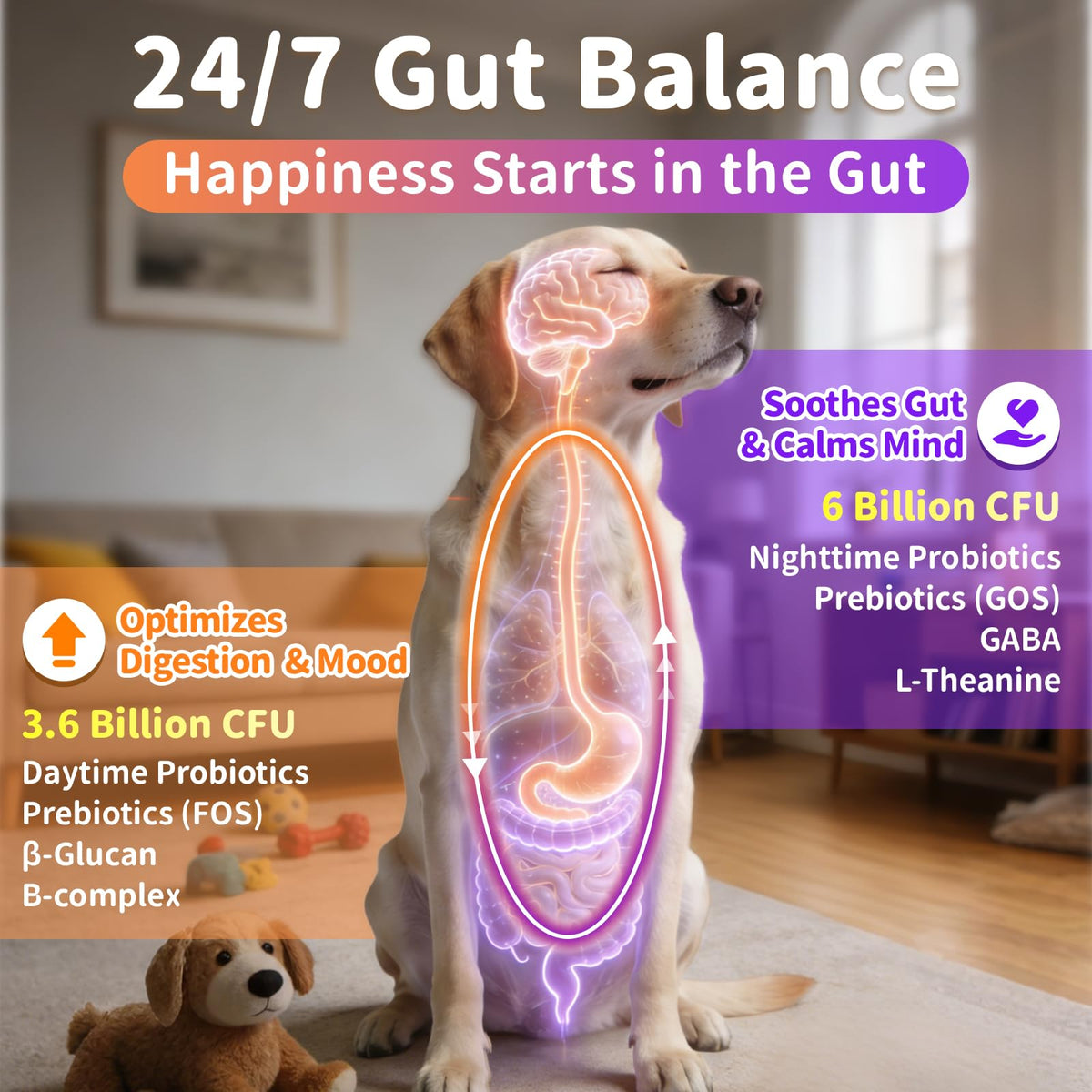 Dog Vitamins and Supplements 2 Pack Chicken P974