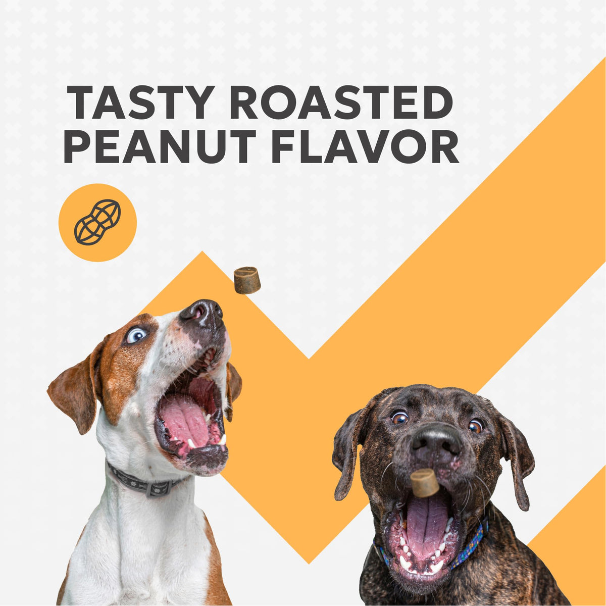 Soft Chews Supplement for Dogs 90ct N406587