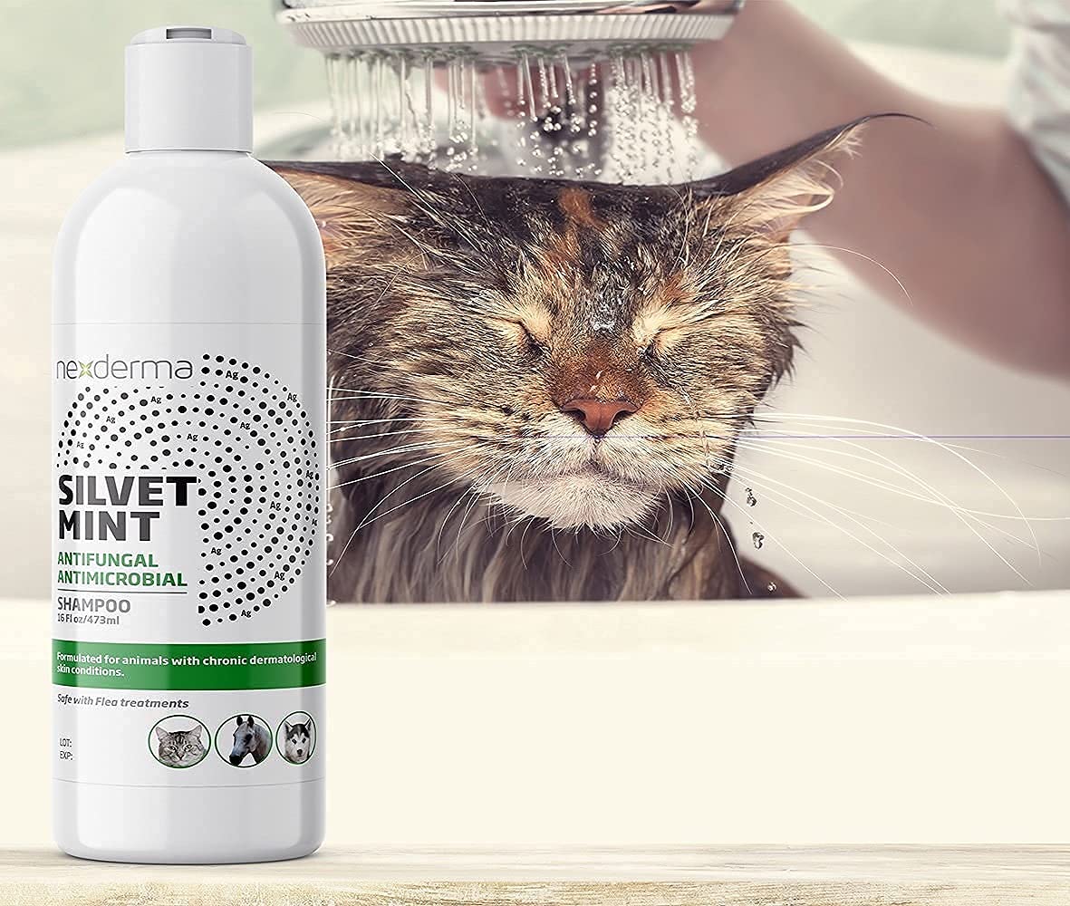 Tearless Hypoallergenic Coconut Oil Pet Shampoo 16oz K639
