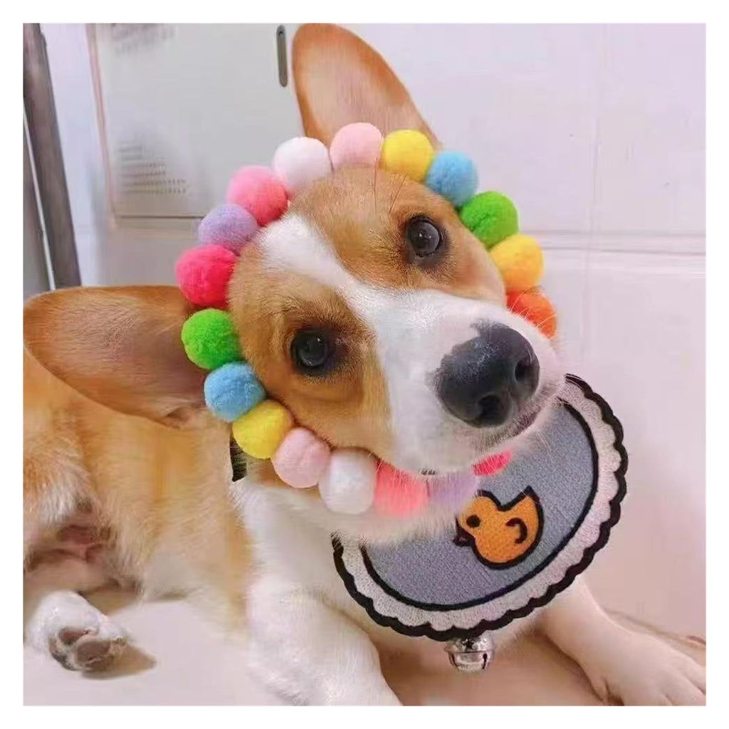 Dog Bow Tie Collar T542802