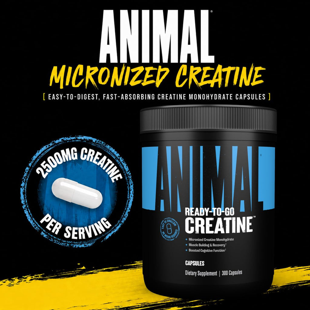 Creatine Monohydrate Powder Capsules 300 Count X28528