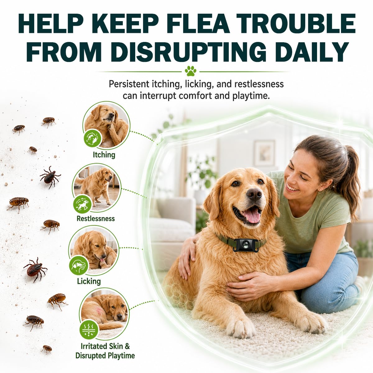 Flea and Tick Prevention Pendant for Dogs S37699