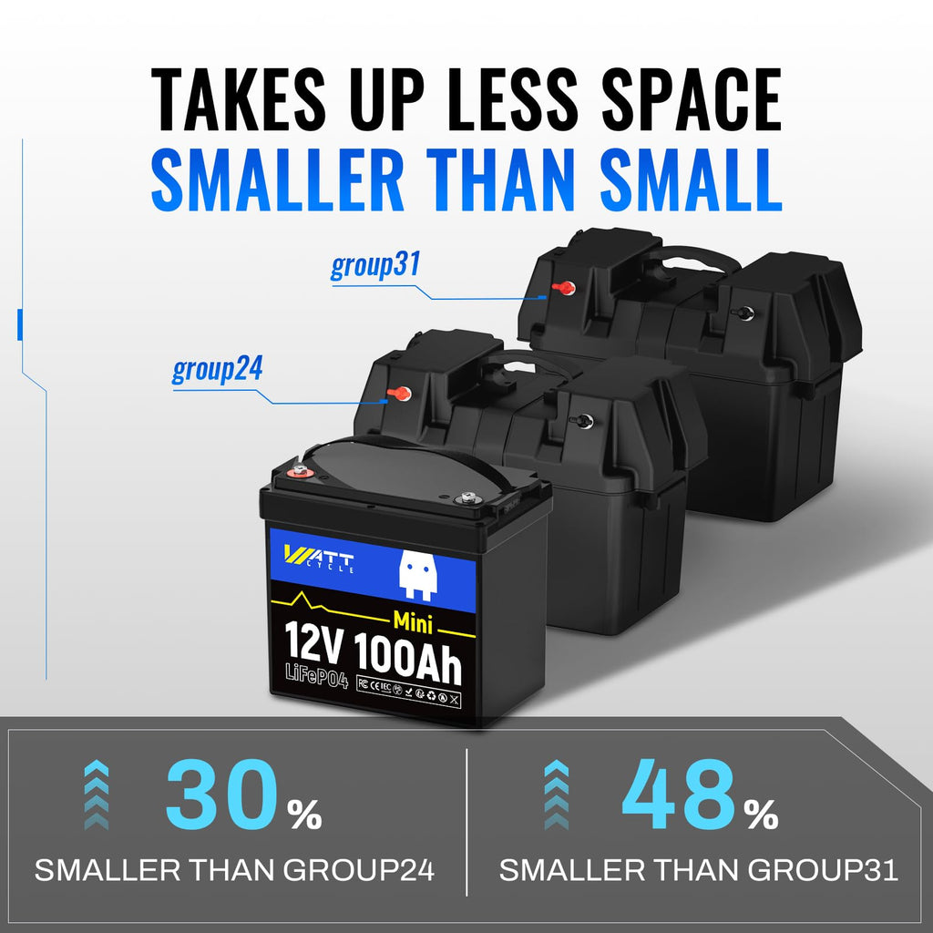 12V 100Ah Mini LiFePO4 Battery with 100A BMS B8491