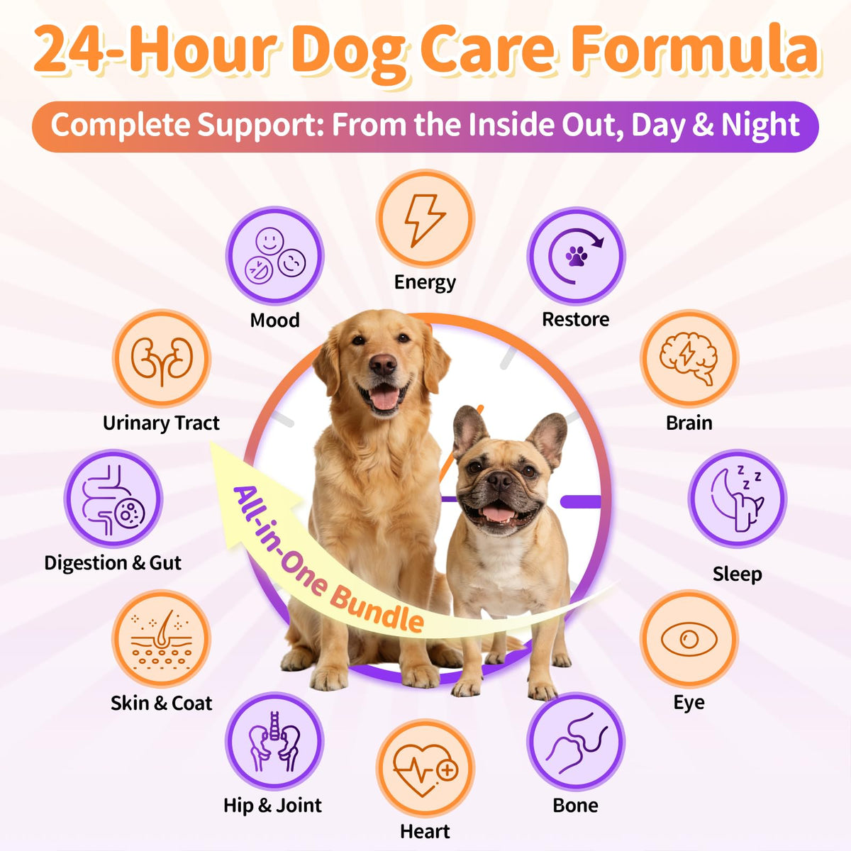 Dog Vitamins and Supplements 2 Pack Chicken P974