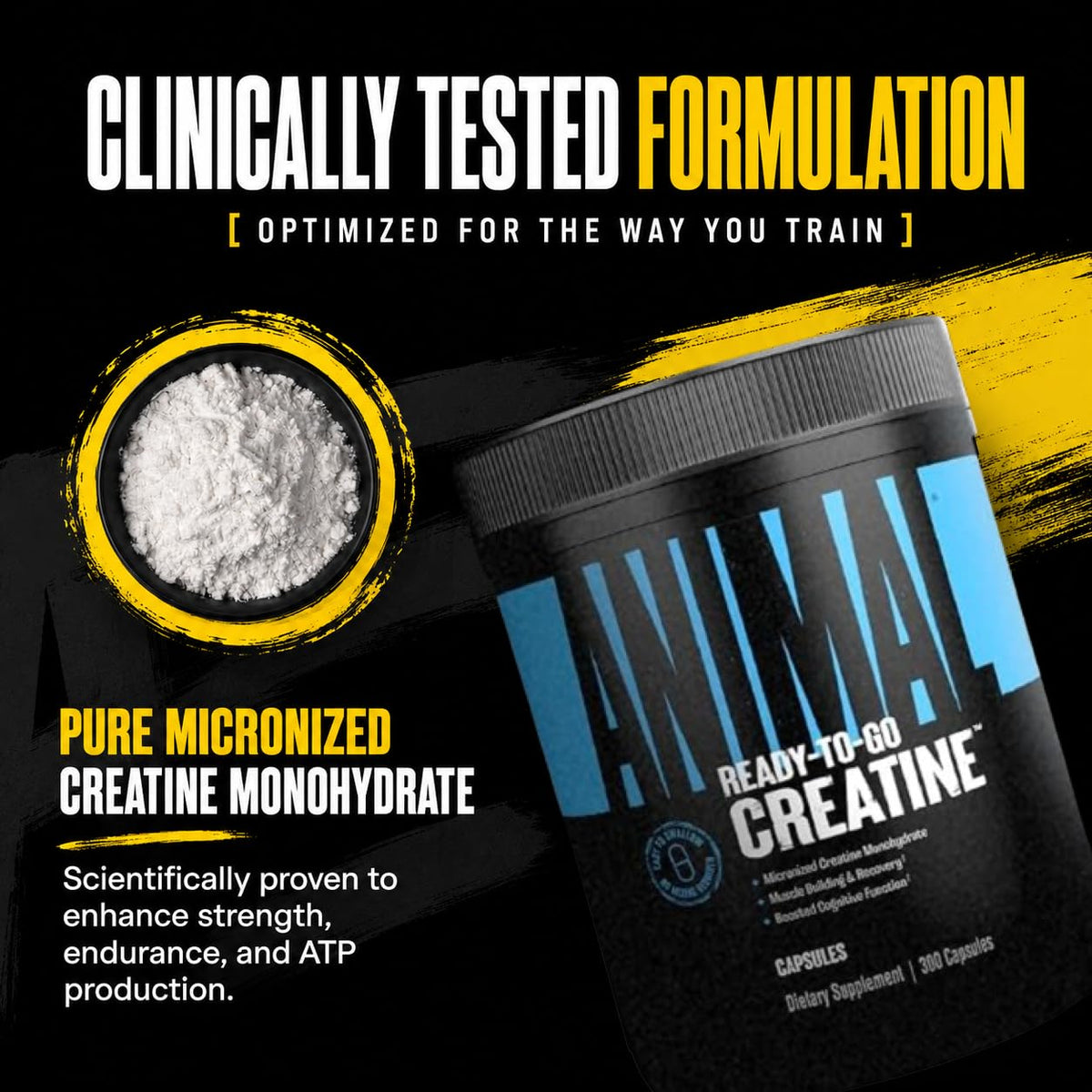 Creatine Monohydrate Powder Capsules 300 Count X28528
