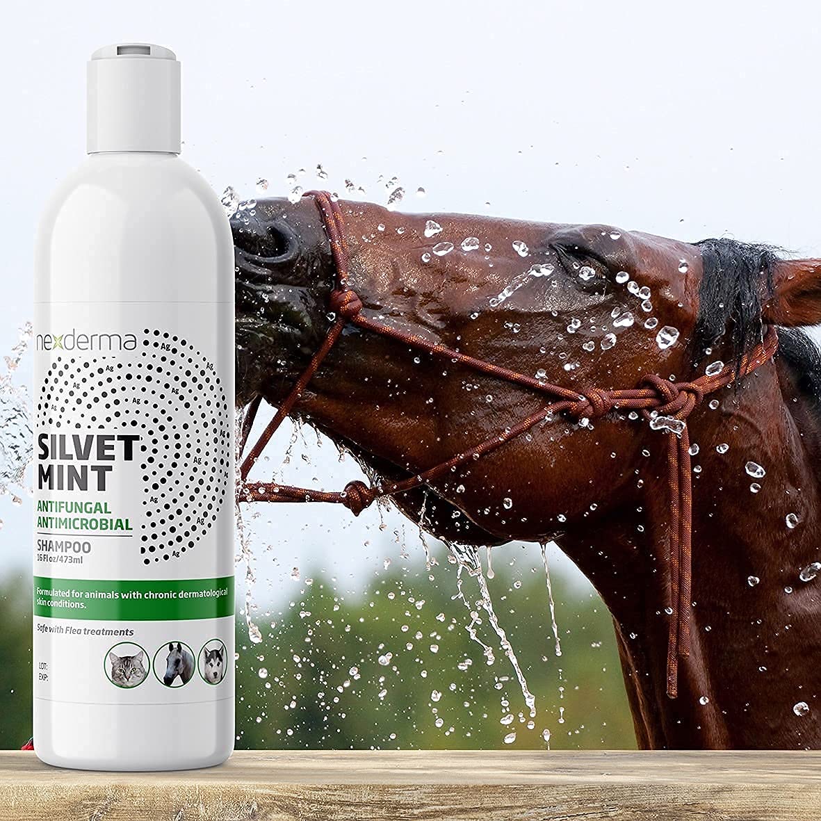 Tearless Hypoallergenic Coconut Oil Pet Shampoo 16oz K639