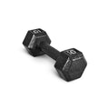 Cast Iron Hex Dumbbell F690877