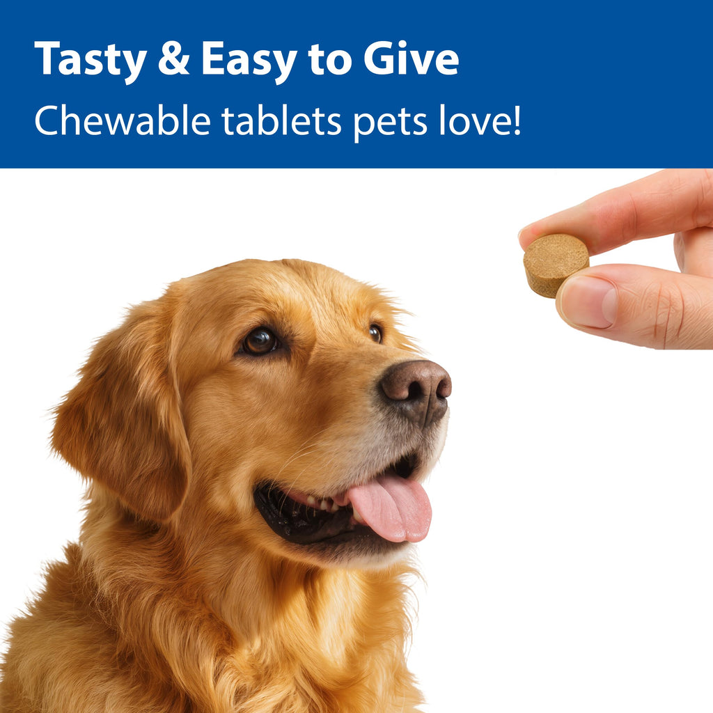 100 mg Chewable Tablets Liver Support Supplement D500011