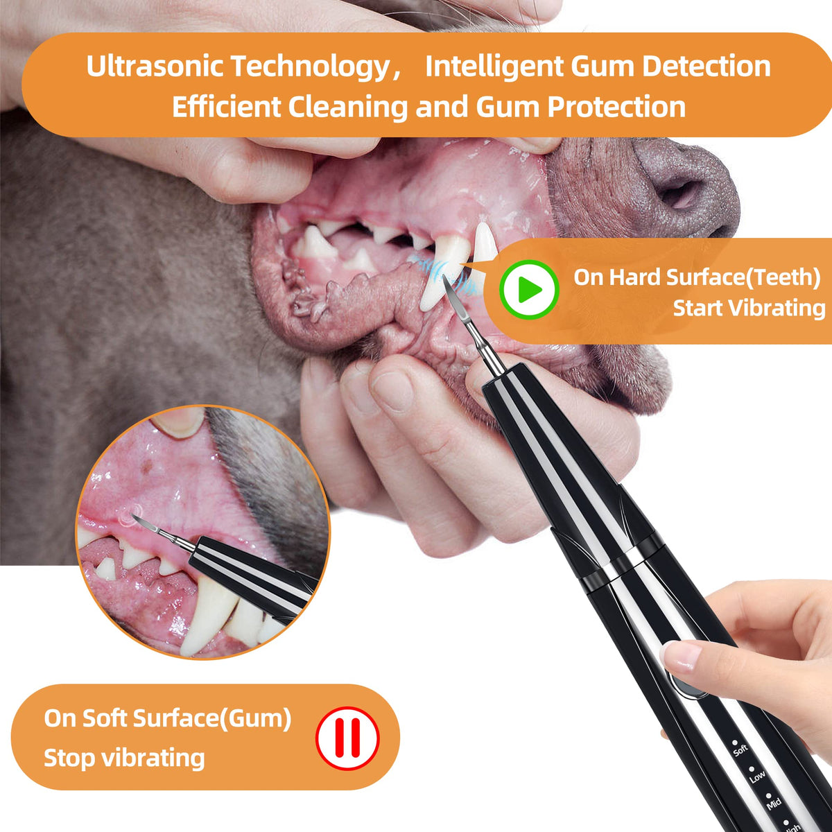 Ultrasonic Pet Tooth Cleaner Kit with LED Light D7614