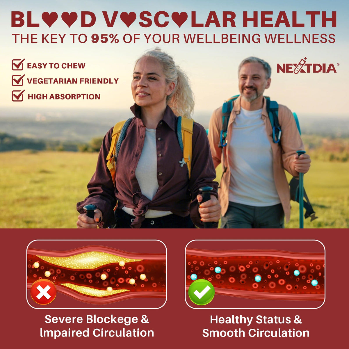 Red Yeast Rice Gummies 2400MG with CoQ10 R2610