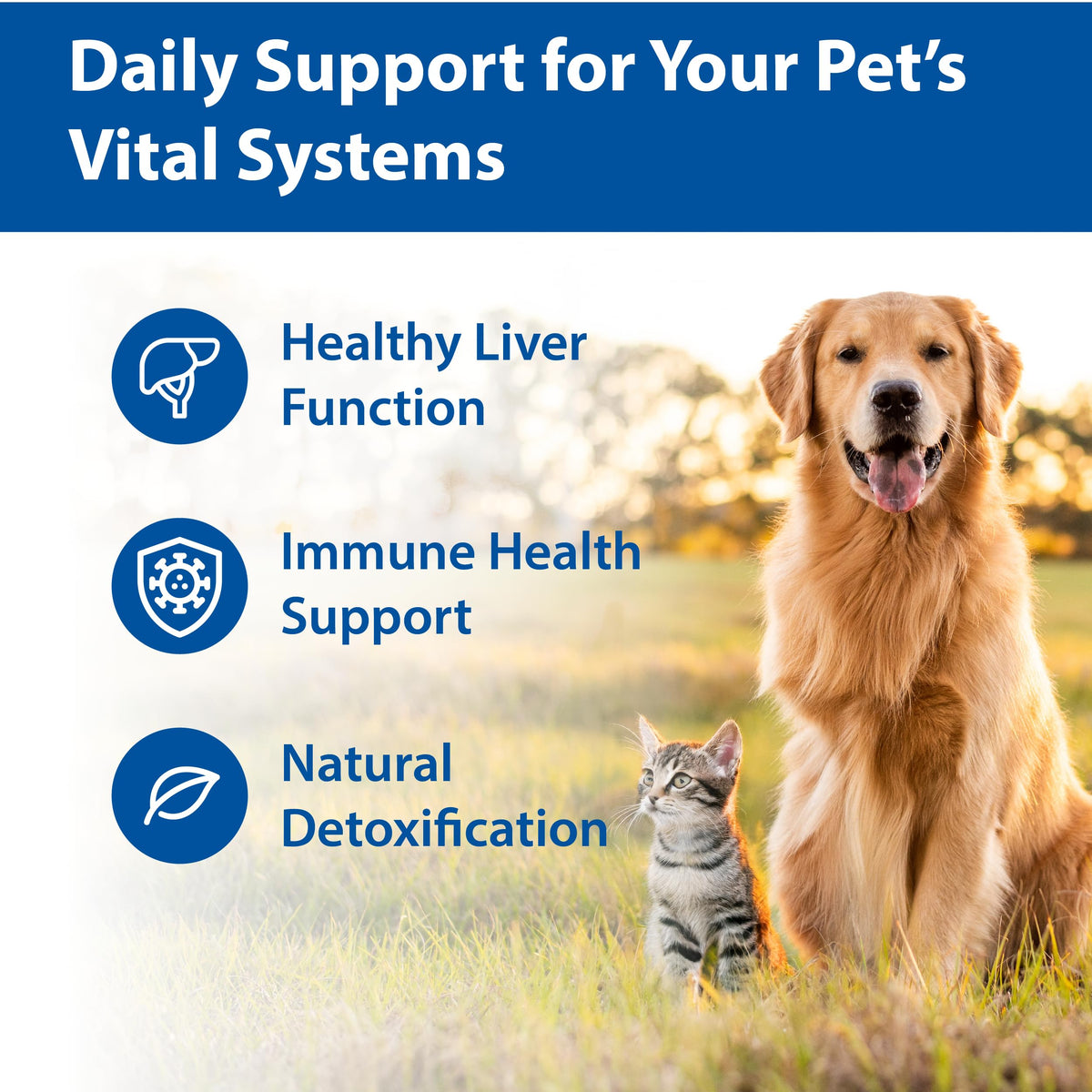 100 mg Chewable Tablets Liver Support Supplement D500011