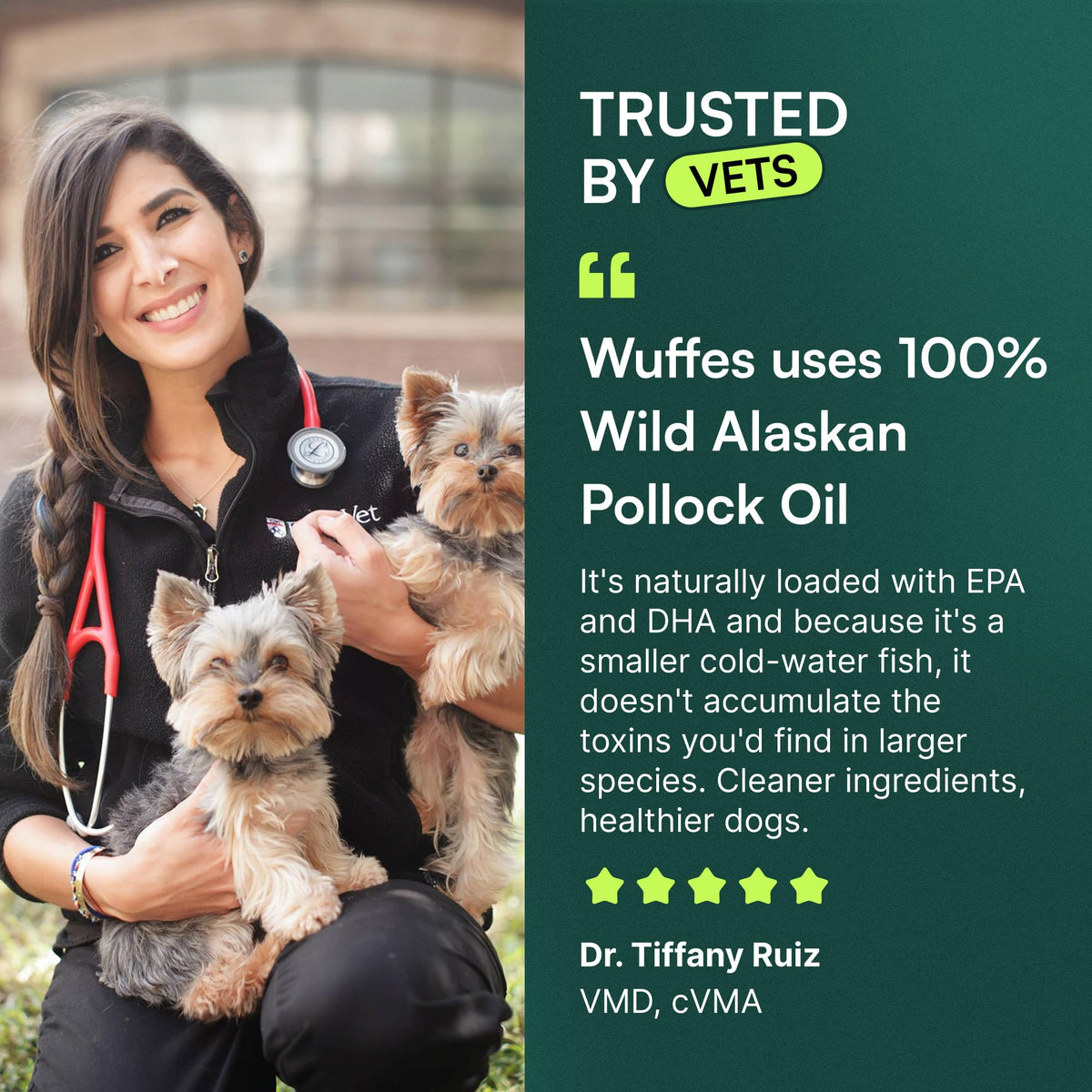 Omega-3 Fish Oil for Dogs, 16 oz Wild Alaskan Pollock Oil Z81753