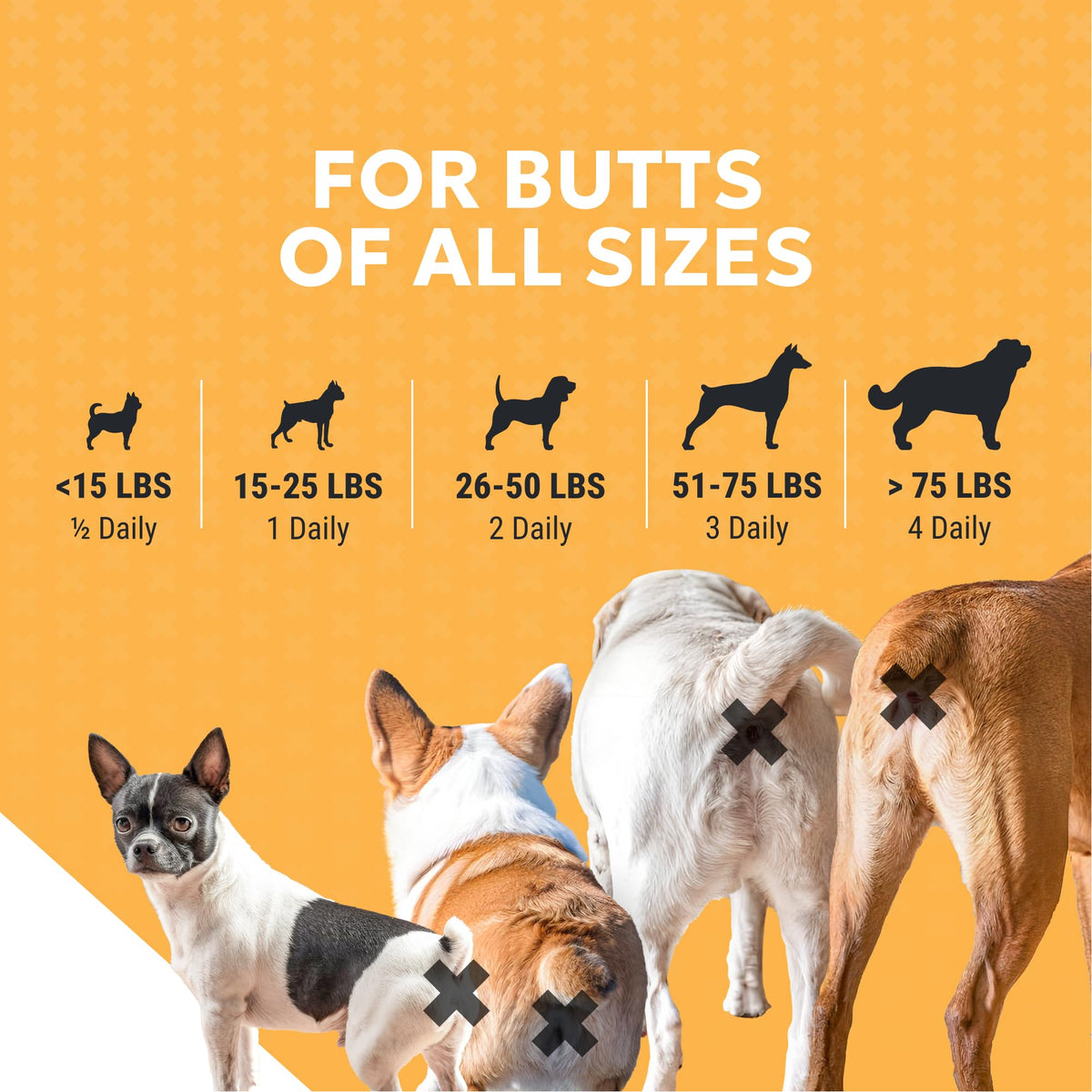 Soft Chews Supplement for Dogs 90ct N406587