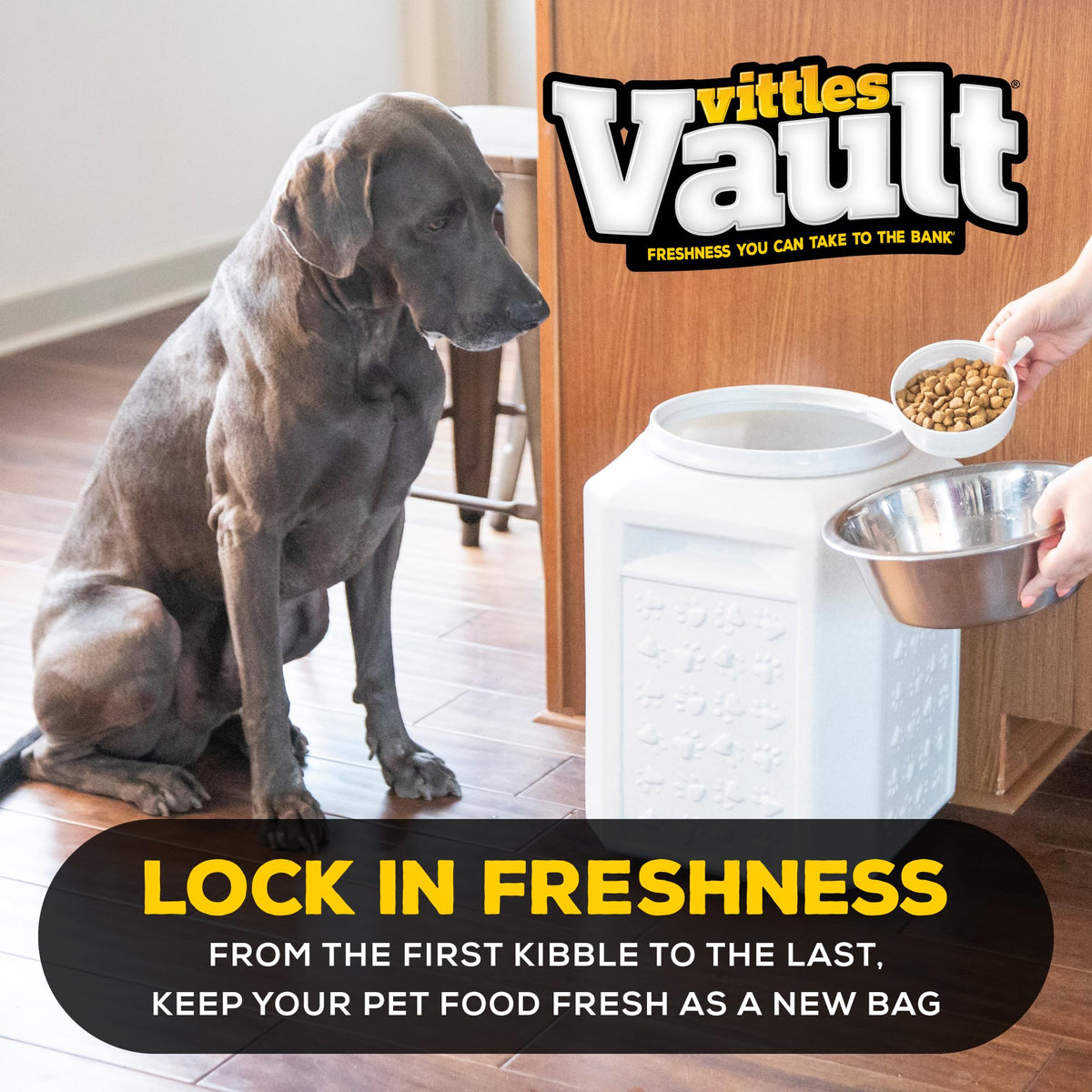 Airtight Pet Food Storage Container E165007