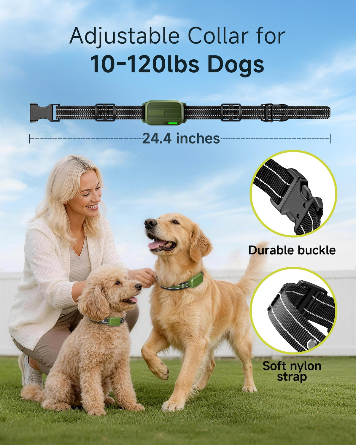 2 Dogs Training Collar with Remote T9150