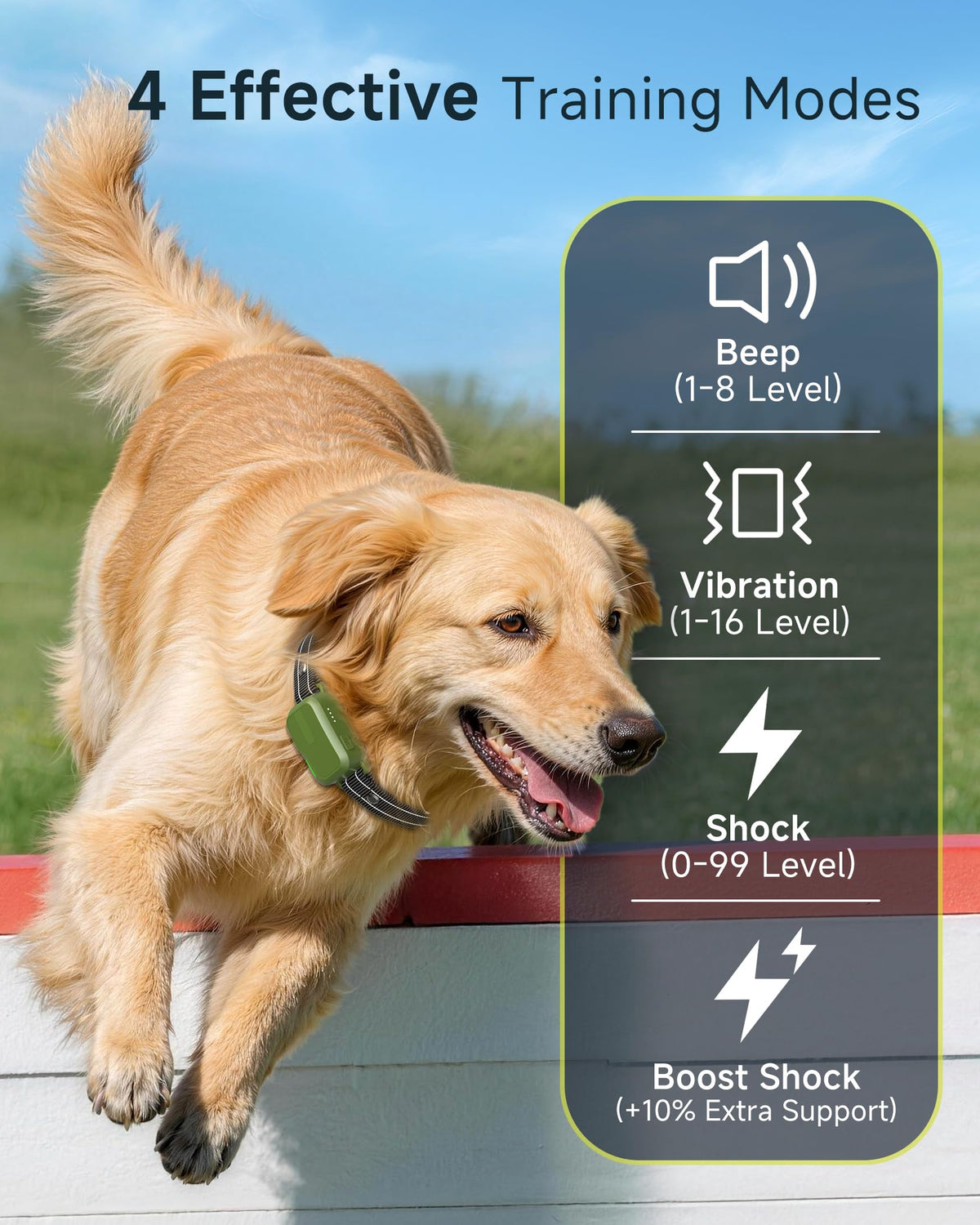 2 Dogs Training Collar with Remote T9150