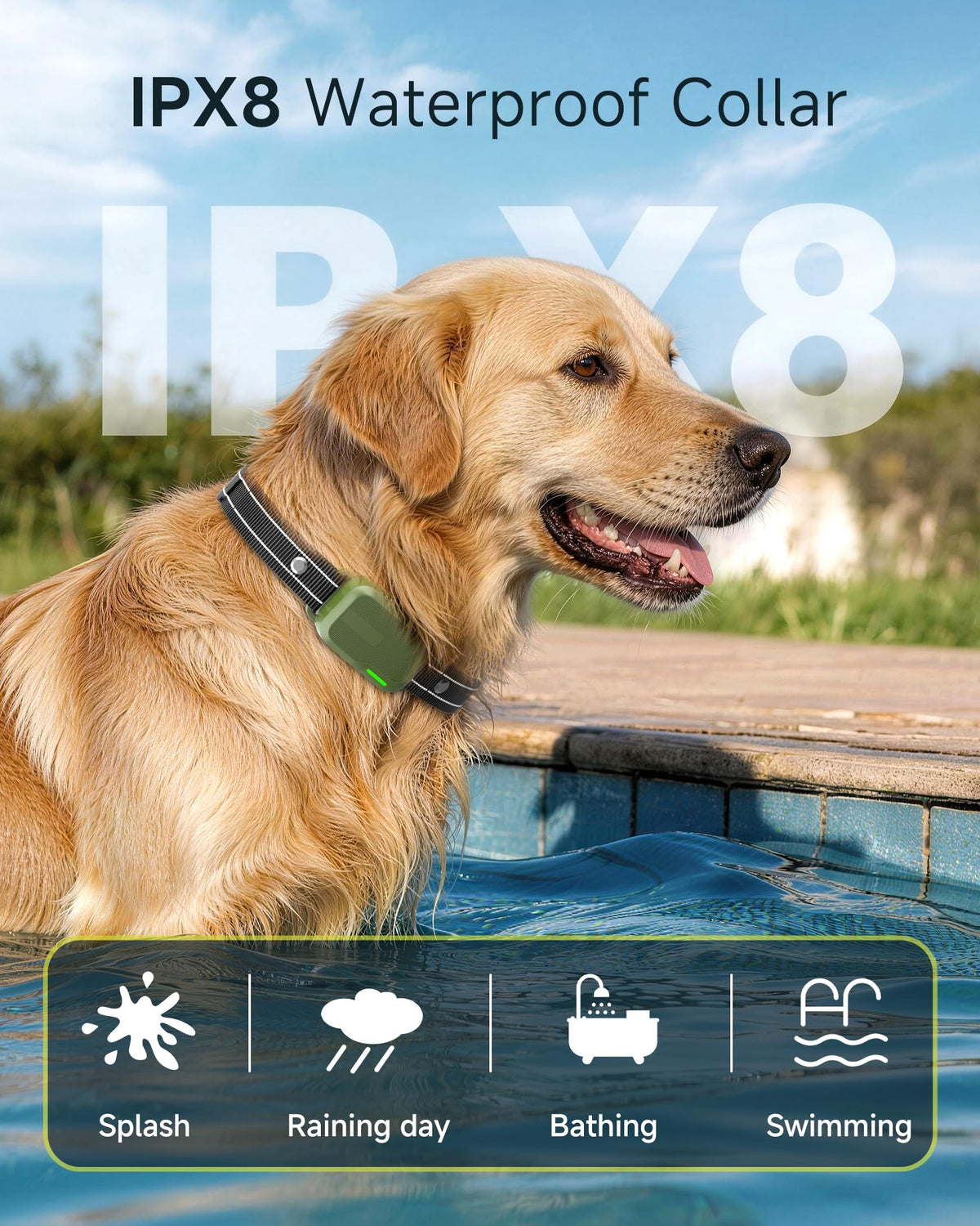 2 Dogs Training Collar with Remote T9150