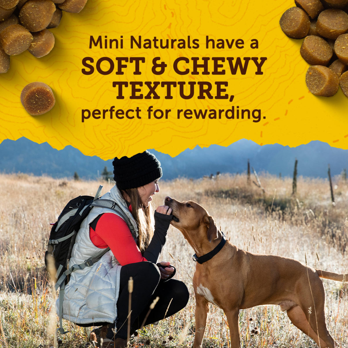 Real Chicken Dog Training Treats 16 oz G27301