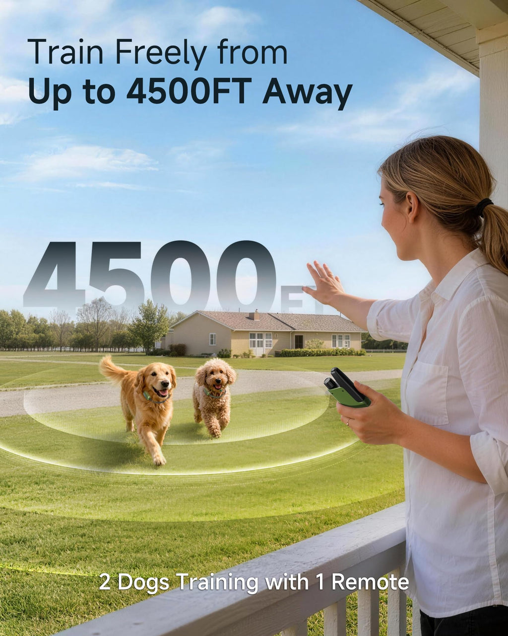 2 Dogs Training Collar with Remote T9150