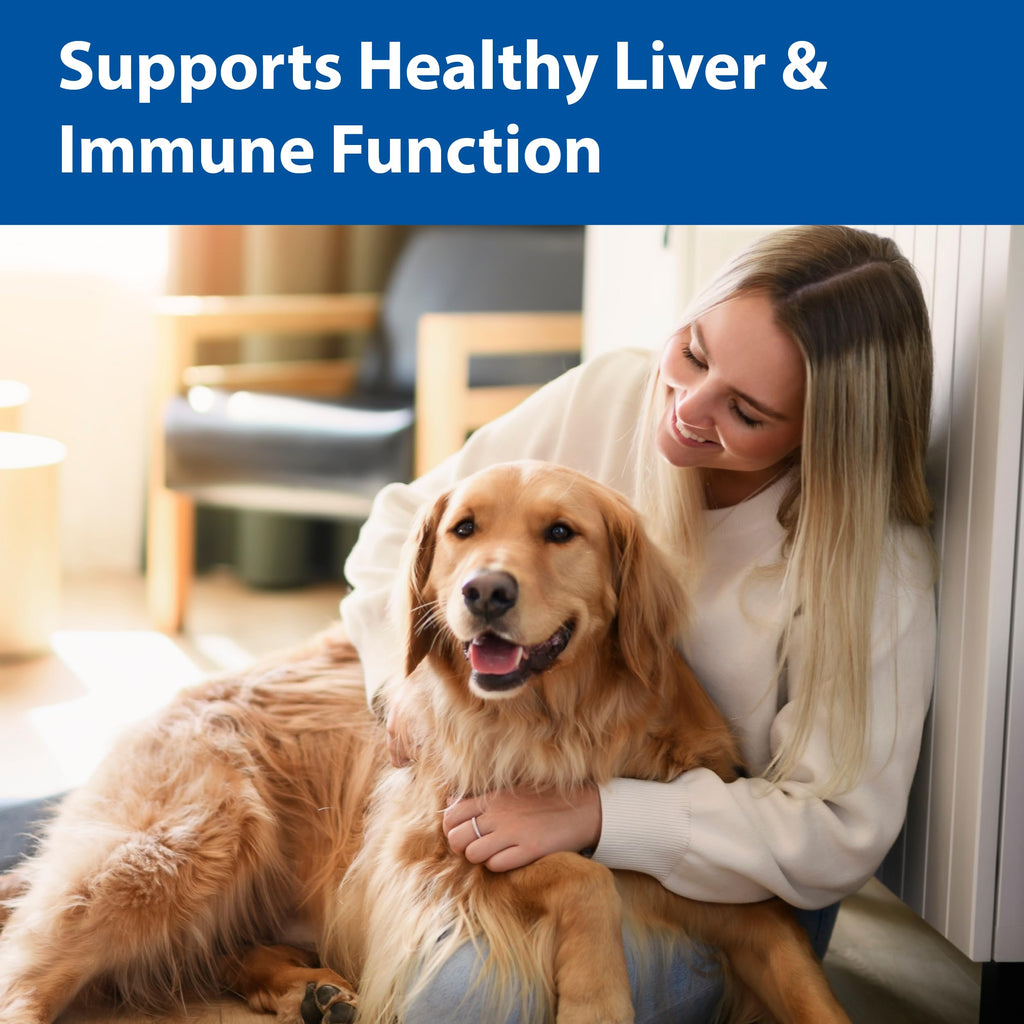100 mg Chewable Tablets Liver Support Supplement D500011