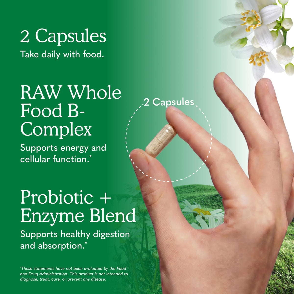 120 Vegan Capsules B-Complex X8830
