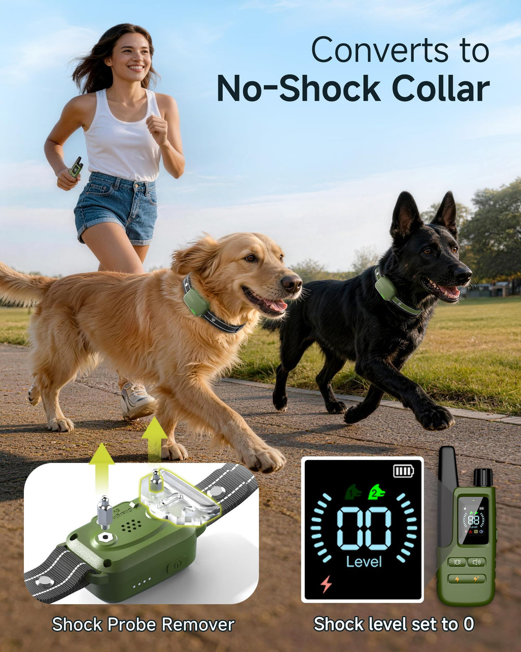 2 Dogs Training Collar with Remote T9150