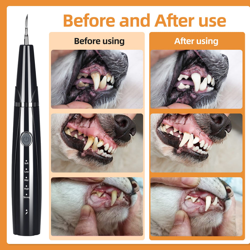 Ultrasonic Pet Tooth Cleaner Kit with LED Light D7614
