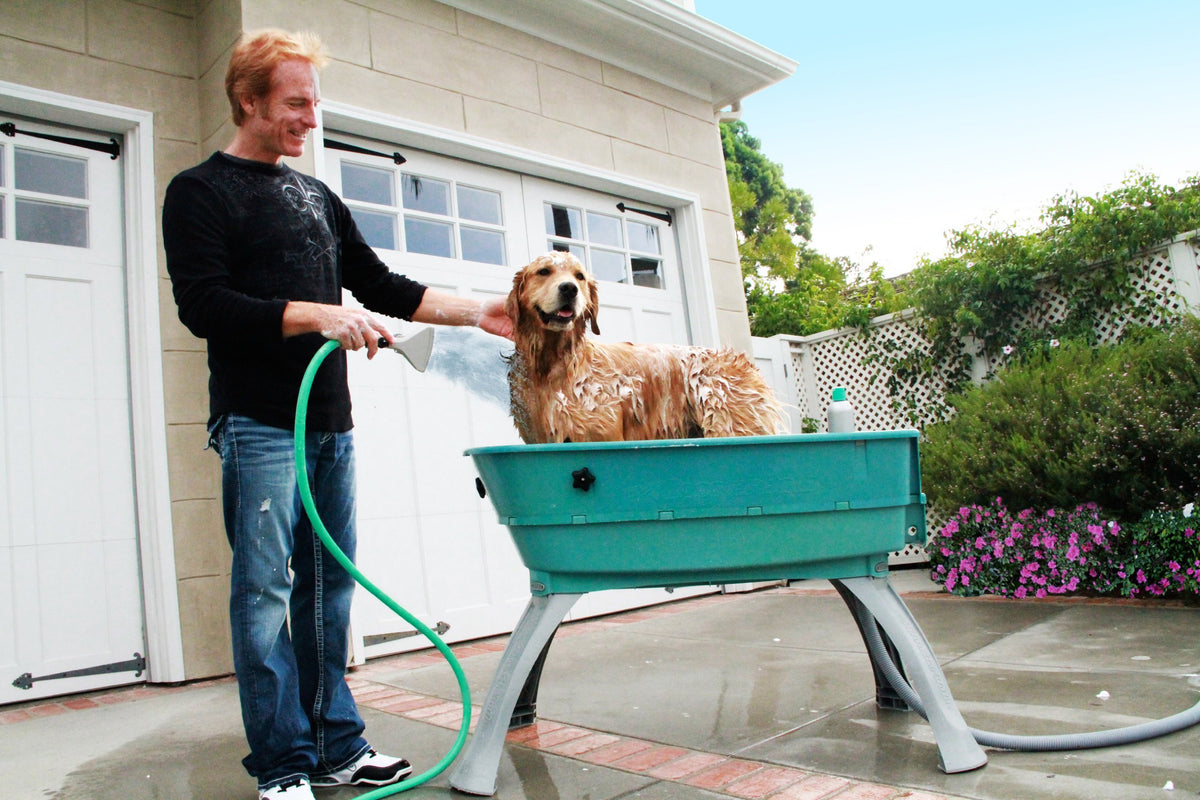 Elevated Pet Bathing Large V904547