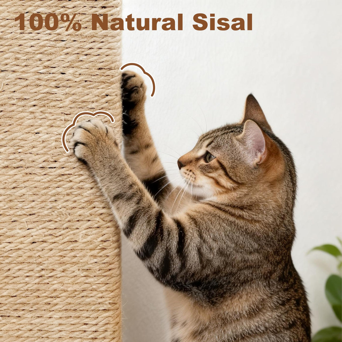 Tall Cat Scratching Post with Carpet A458873