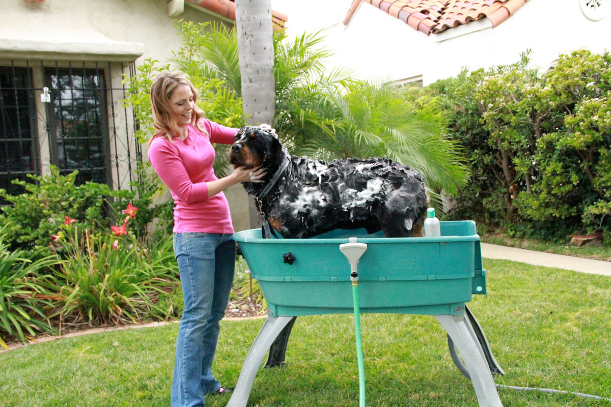 Elevated Pet Bathing Large V904547
